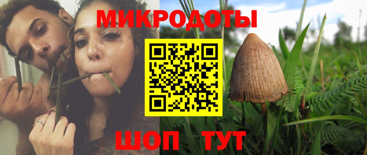 Галлюциногенные грибы MAGIC MUSHROOMS  Вход с VPN  Горно-Алтайск 
