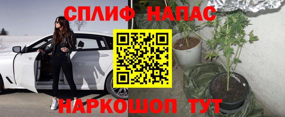 Бошки Шишки индика Горно-Алтайск